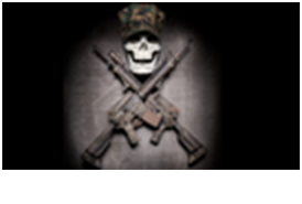 View the PDF